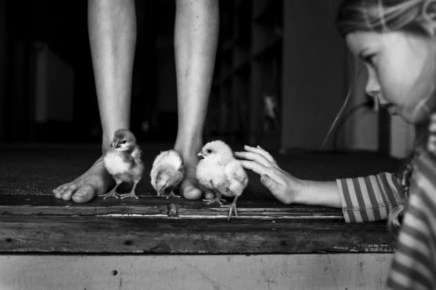 &copy; Niki Boon